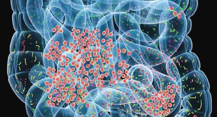 Norovirus vuelve a poner bajo la lupa la prevención y la respuesta sanitaria ante brotes en lugares cerrados: puntos clave
