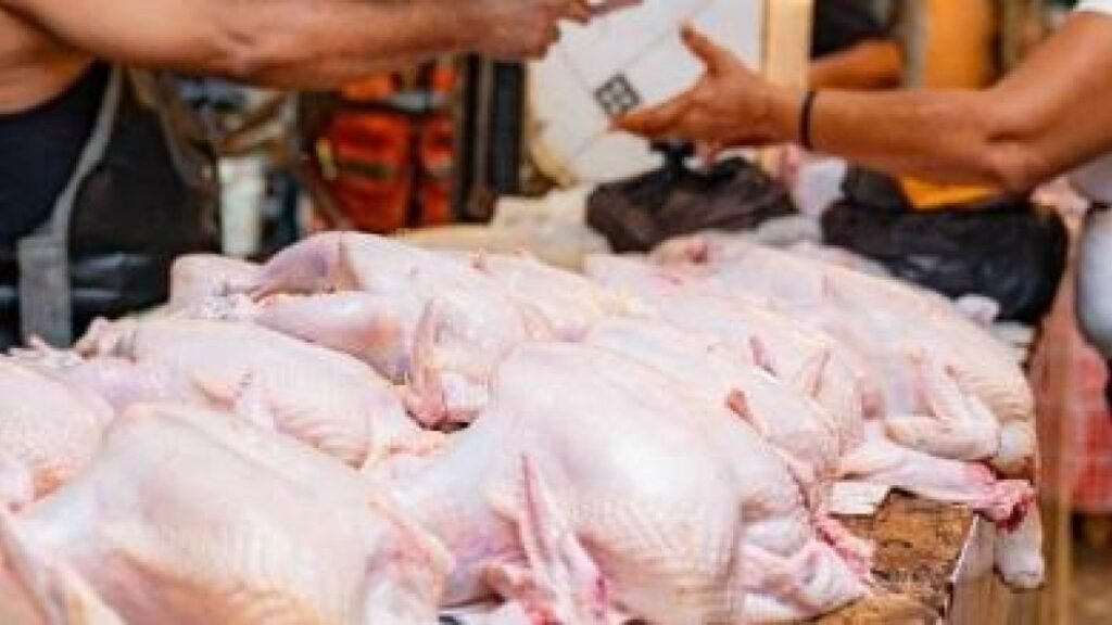 Pignoración de pollo no logra bajar precios y abre dudas sobre la respuesta oficial