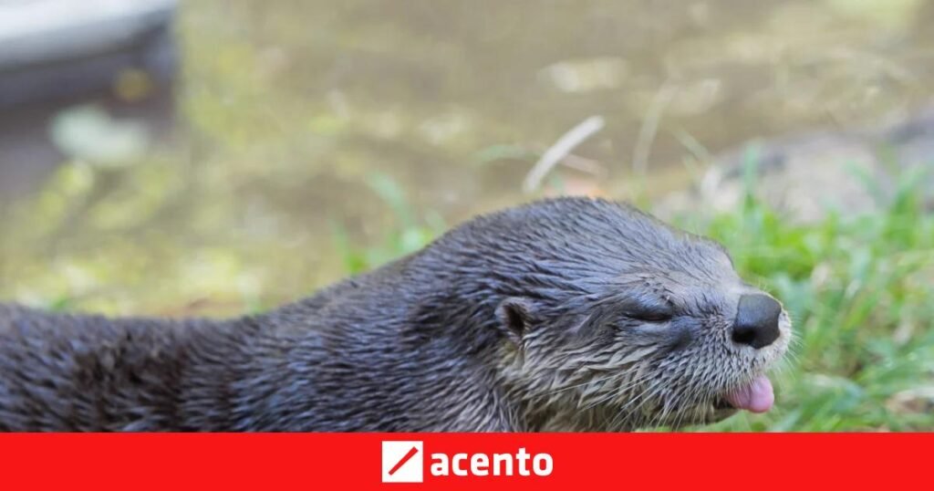 El 27 de mayo vuelve a concentrar reclamos sobre salud, ambiente e inclusión