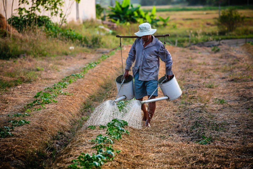El auge del agro no basta para despertar vocaciones entre los jóvenes: puntos clave