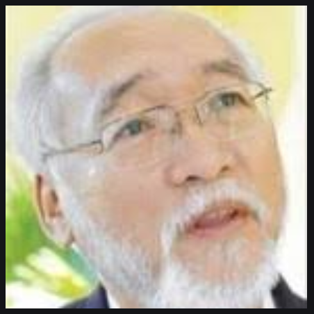 La paciencia china: ¿una estrategia de inacción?