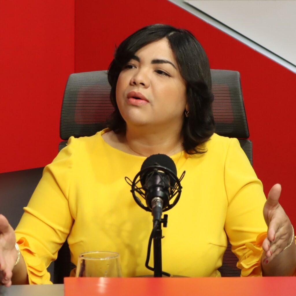 Dirigente del PLD advierte que reacción del Gobierno ante proyecto minero evidenció improvisación: puntos clave