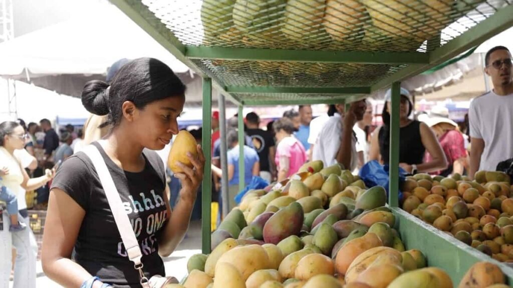 Baní es reconocida como “Capital del Mango” y el Congreso vuelve al centro del debate