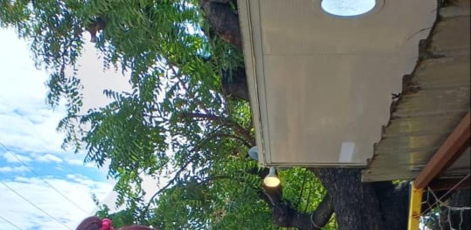 Baní inaugura hoy la Feria del Mango con nueva sede por trabajos en el parque municipal