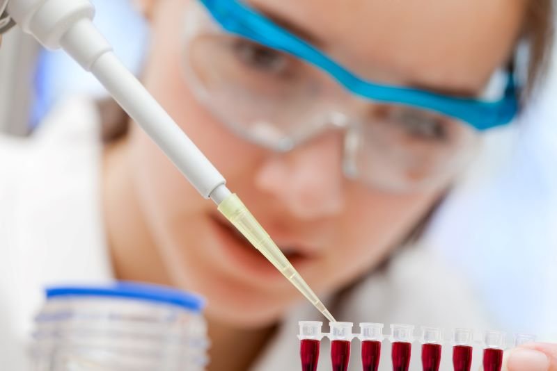 Un estudio vincula un mecanismo hepático con la diabetes y la obesidad y refuerza la presión sobre una crisis de salud persistente