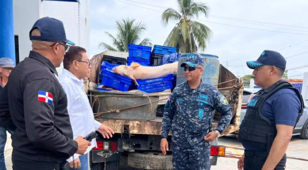 Hallan más de dos toneladas de carne descompuesta en matadero clandestino de Río San Juan