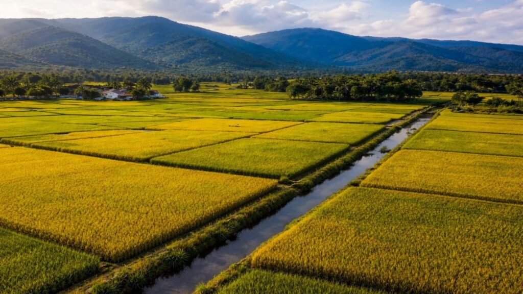 Zonificar cultivos reabre debate por el uso de tierras y agua en zonas agrícolas