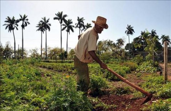 El agro crece en cifras, pero abre nuevas exigencias de vigilancia sobre resultados y rendimiento