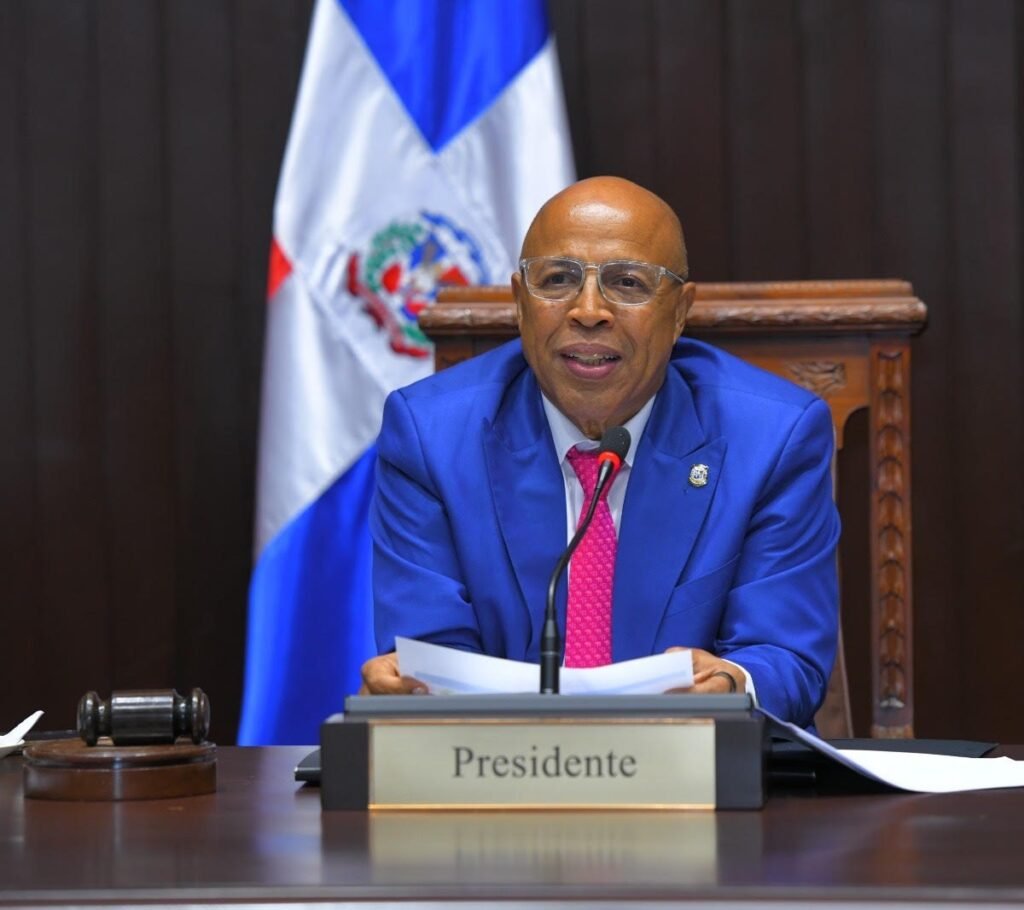 Pacheco atribuye al PLD el plazo de 24 horas mientras Fuerza del Pueblo alerta sobre trámite acelerado del Código Penal