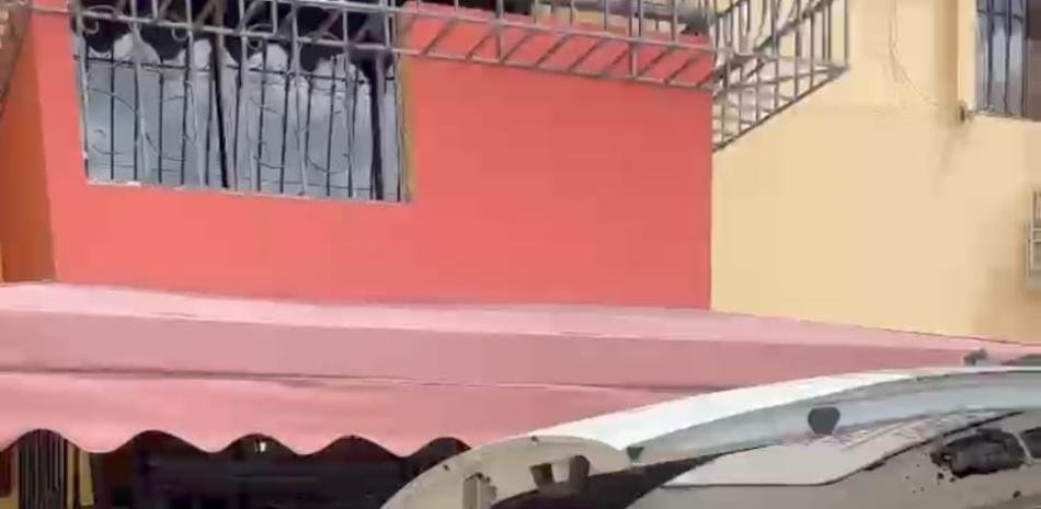 Aparece muerto también el perro en el apartamento de Rómulo Betancourt donde murieron una madre y su hijo