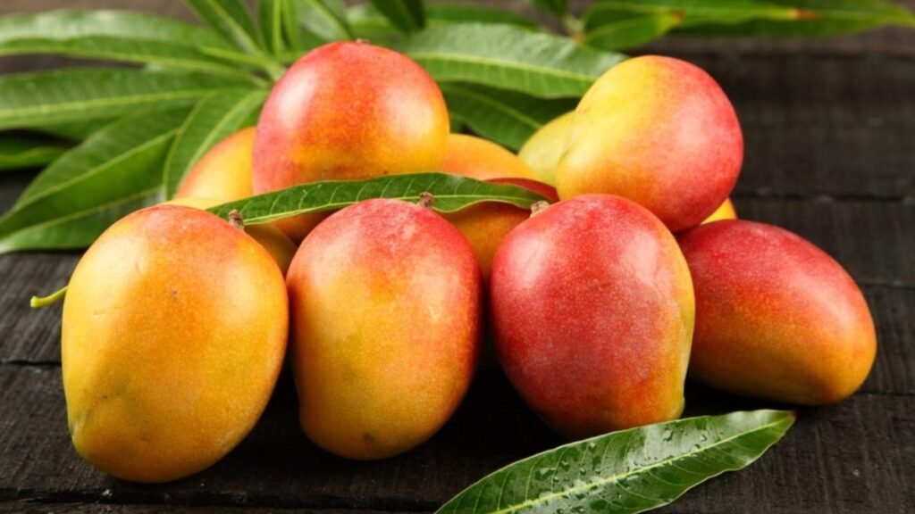 EE. UU. suspende el mango dominicano y reaviva la alerta por la mosca de la fruta