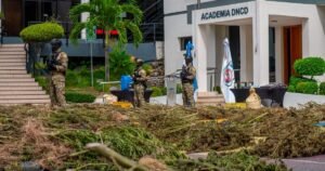 Azua: hallan 5,364 plantas de marihuana y miles en germinación en una zona bajo vigilancia previa