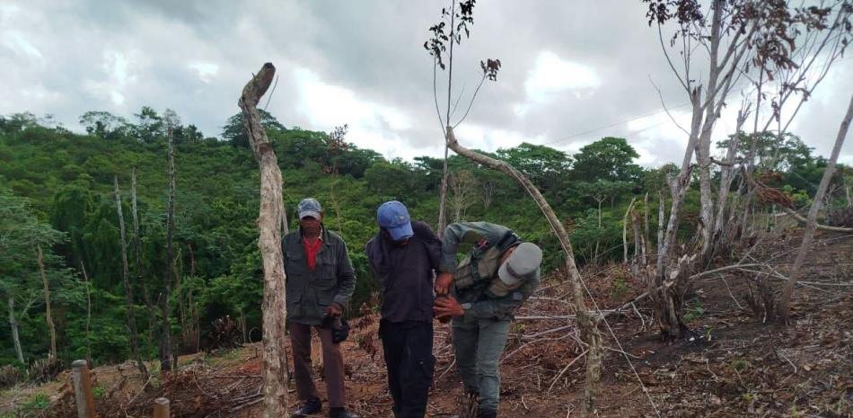 Condenan con pena suspendida a dos hombres por incendiar área protegida en El Seibo