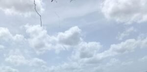 La sequía golpea el oeste de Puerto Plata y agrava la presión sobre el campo