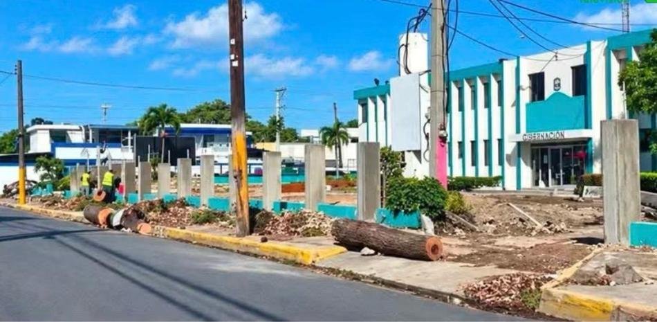 Baní enfrenta escrutinio por la tala de robles en obra de RD$57 millones